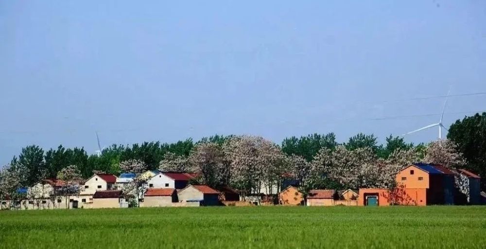 阳光明媚,万木葱茏,鹿邑县高集乡王屯村处处流淌着春天的气息.