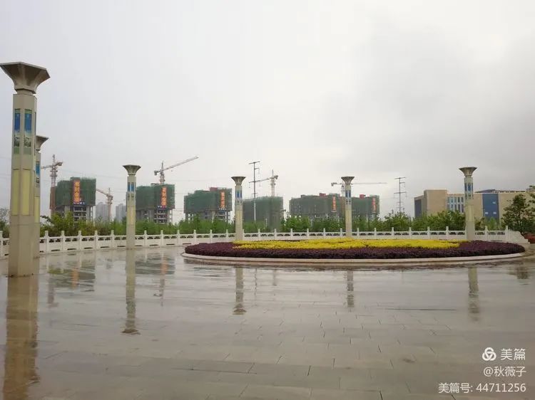 雨后,淅川崇德公园,你千万别看.