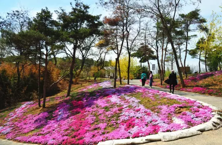 五一小长假,大连英歌石植物园预期为辽宁最旺自驾游景区