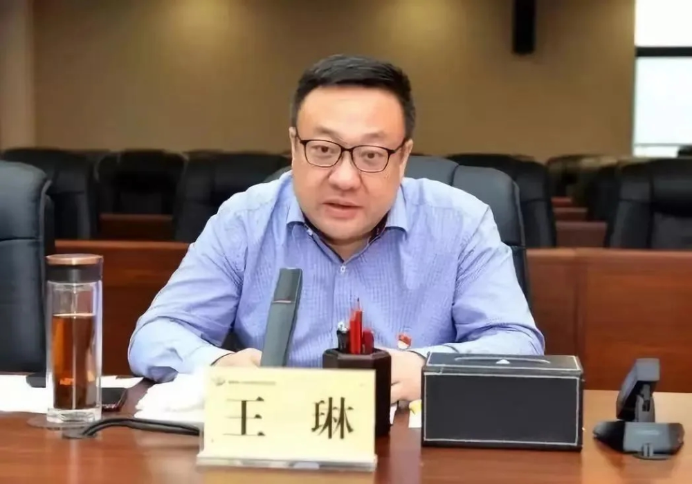 担任渭南市长10个月后,王琳任渭南市委书记