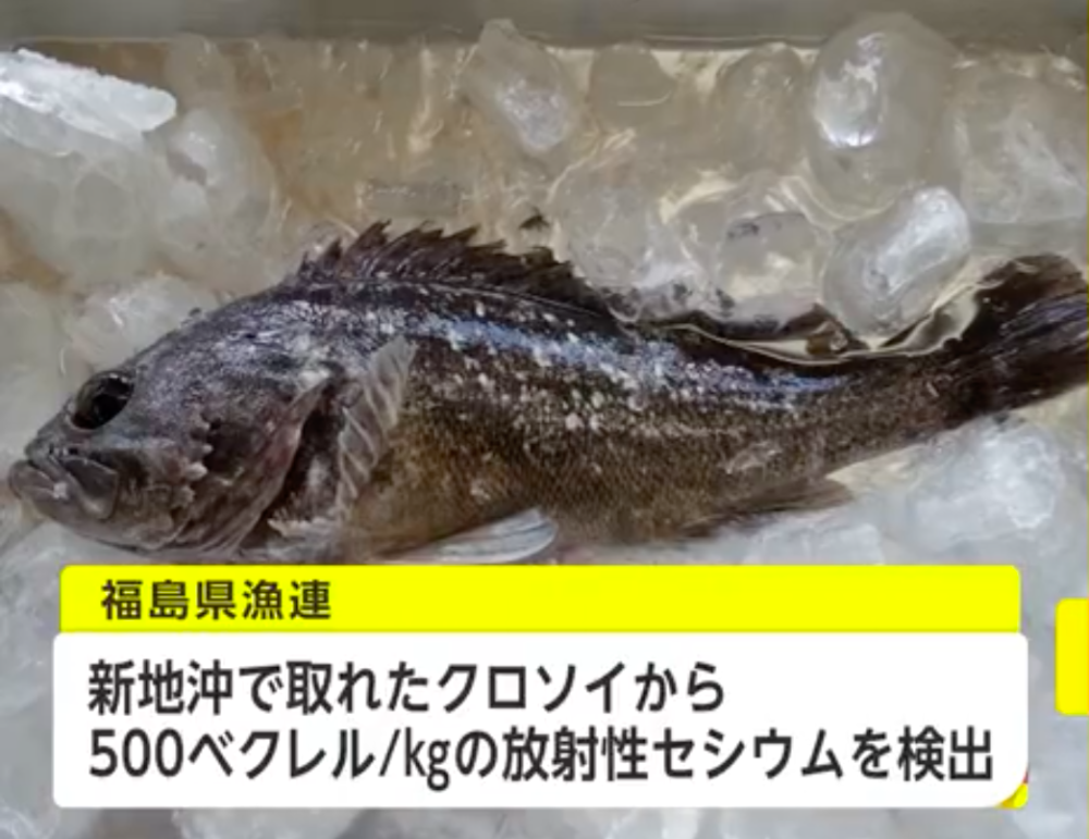 日本要将福岛食材送上奥运餐桌…求你们干点人事儿吧!