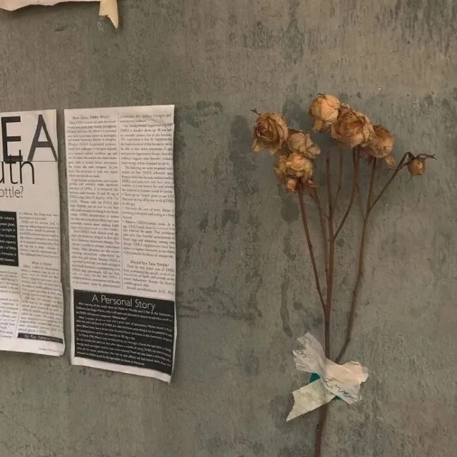 那些可以触动心弦的遗憾文案