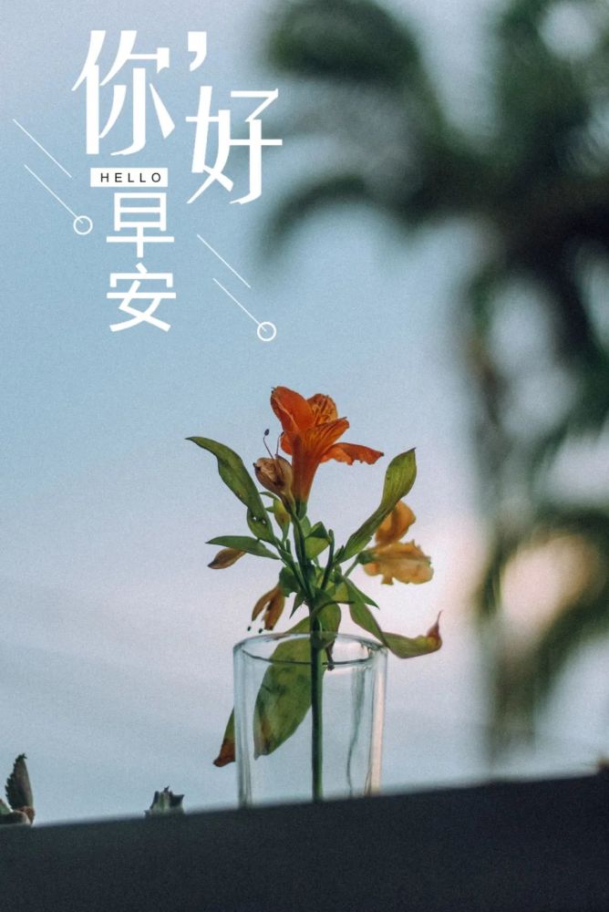 早安心语图片句子 早安语录发朋友圈励志语录图片