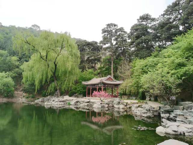 北京西郊这座公园历史悠久,不仅能爬山赏景,还是看春花的好地方