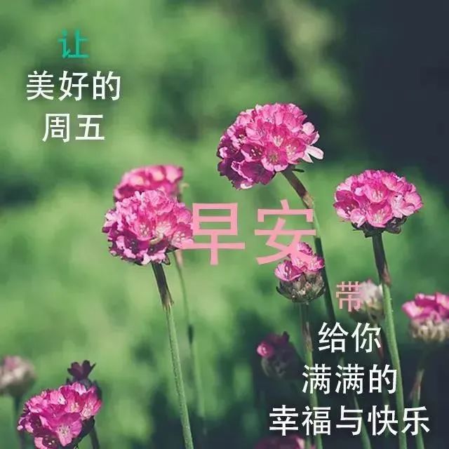 4月23日最漂亮的早上好祝福语图片温馨 清晨群发短语