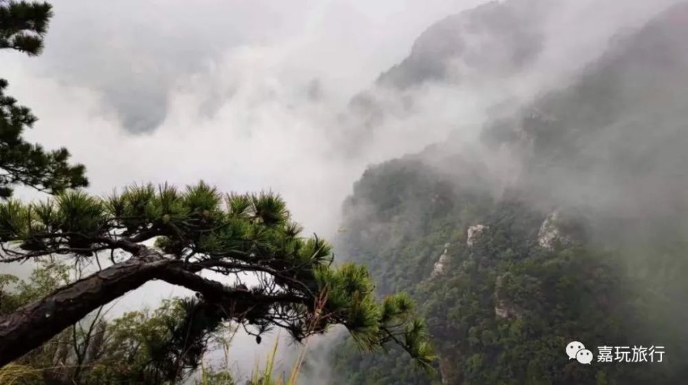 不识庐山真面目只缘身在此山中