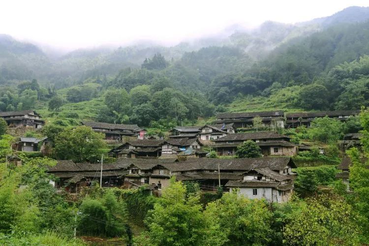 探村温州永嘉|藏在张溪的林坑古村落,有更美楠溪山地