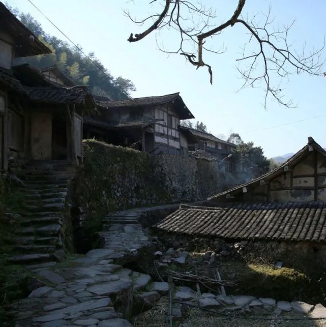 探村温州永嘉|藏在张溪的林坑古村落,有更美楠溪山地民居景观