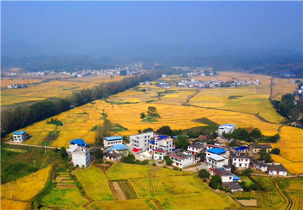 湖北省崇阳县:绘就乡村新蓝图,建设美丽新天府