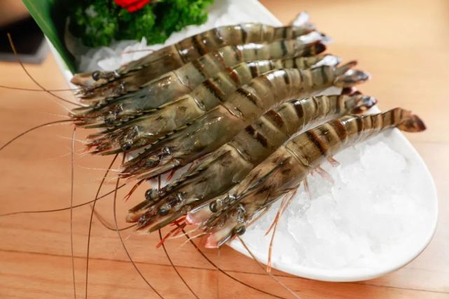 基围虾竟然不是虾的品种名,那它究竟是什么虾?