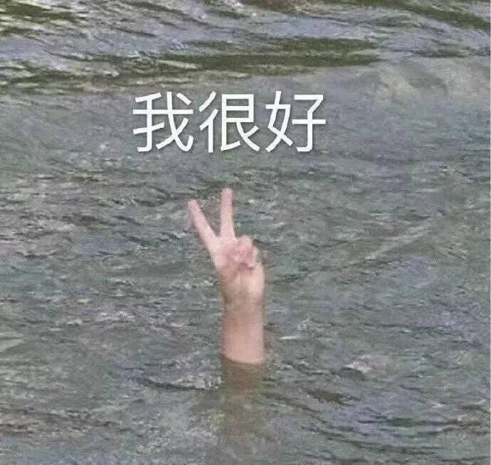 表情包/有事吗,老阿姨