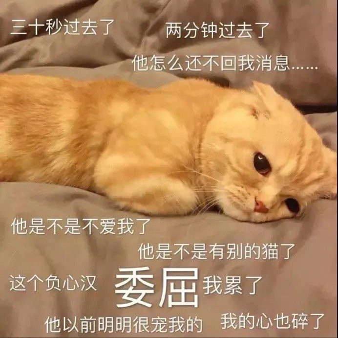 表情包/有事吗,老阿姨