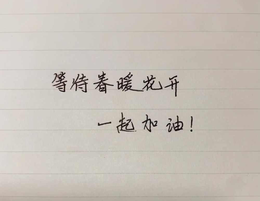 张子枫"手写卡片"火了,字如其人干净整洁,是老师喜爱的字体