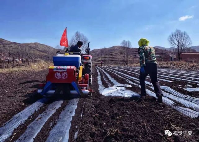 图说丨原州区:春耕春种忙 奋蹄赶秋实