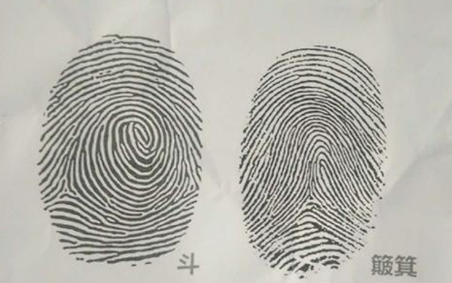 手指上的簸箕与斗,能决定人能活多久?这说法可不可信