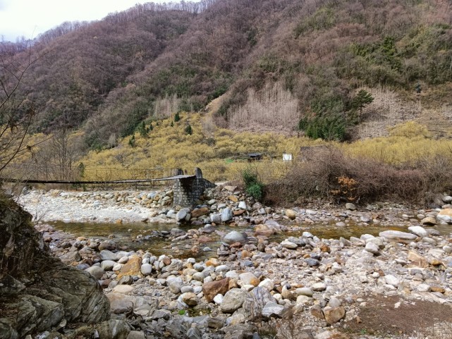 秦岭大山深处的村庄,村边一条不起眼的山沟,常能见到野生大熊猫!