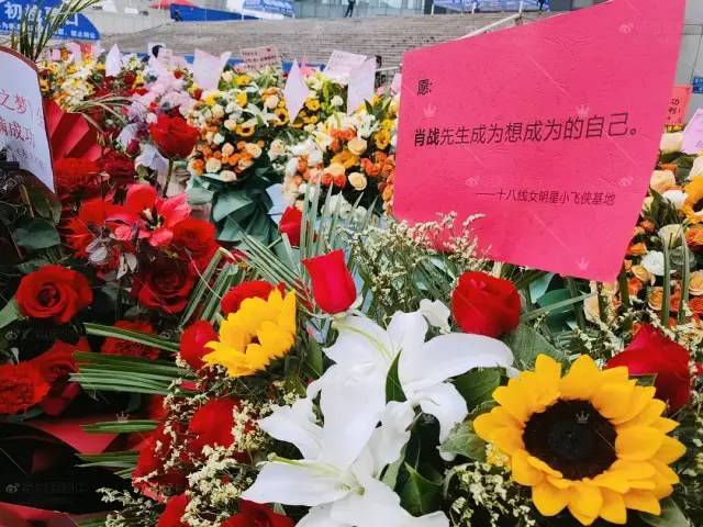 花海祝福:祝肖战参演的如梦之梦顺顺利利,圆满成功