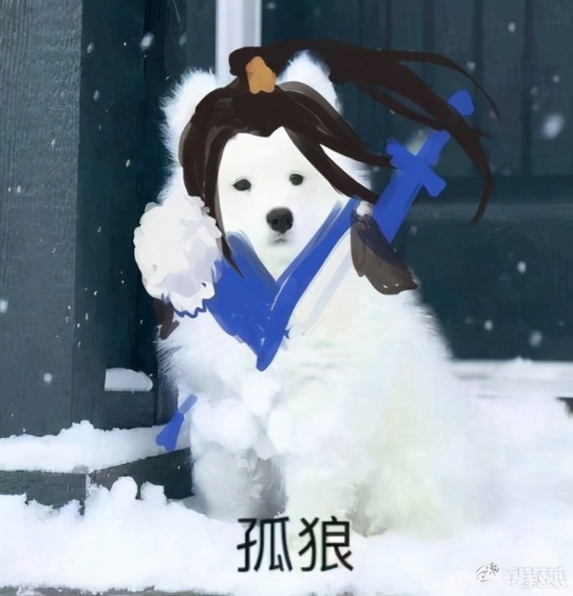 一梦江湖华山惊现惨案救命你要骑马关我华仔什么事