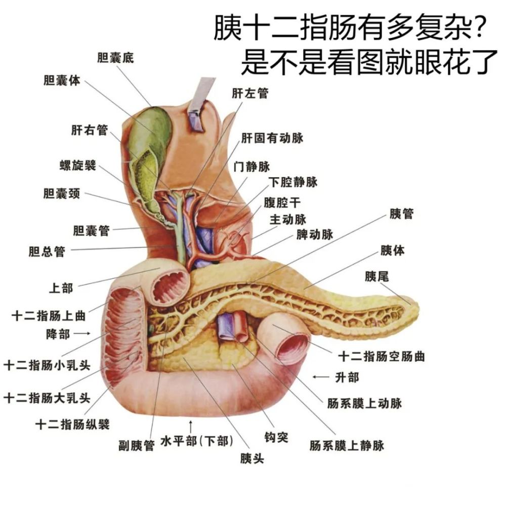 【金杏·新闻】喜报:昆山市中医医院多项技术实现"零突破"