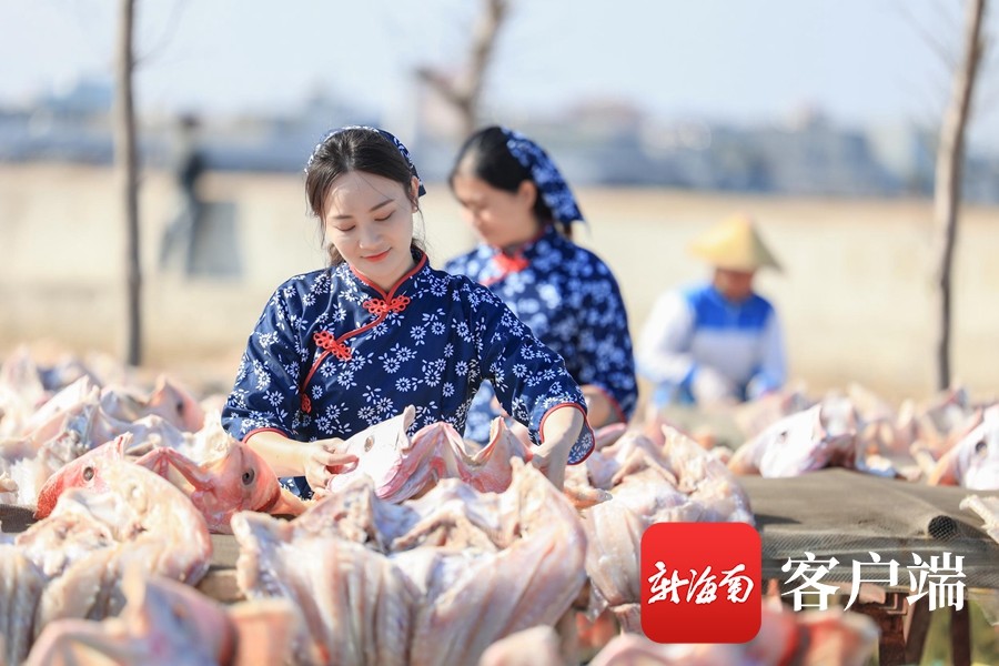 自贸港的年轻人|儋州"90后"渔娘陈桂香:登上央视讲述她和大海的故事_