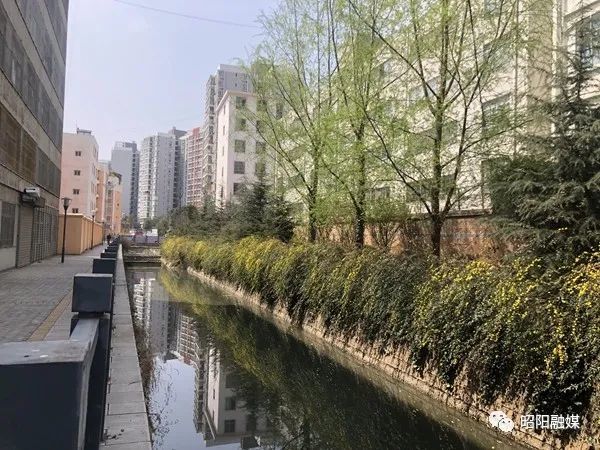昭阳区:精心打造河道景观 全力提升城市颜值