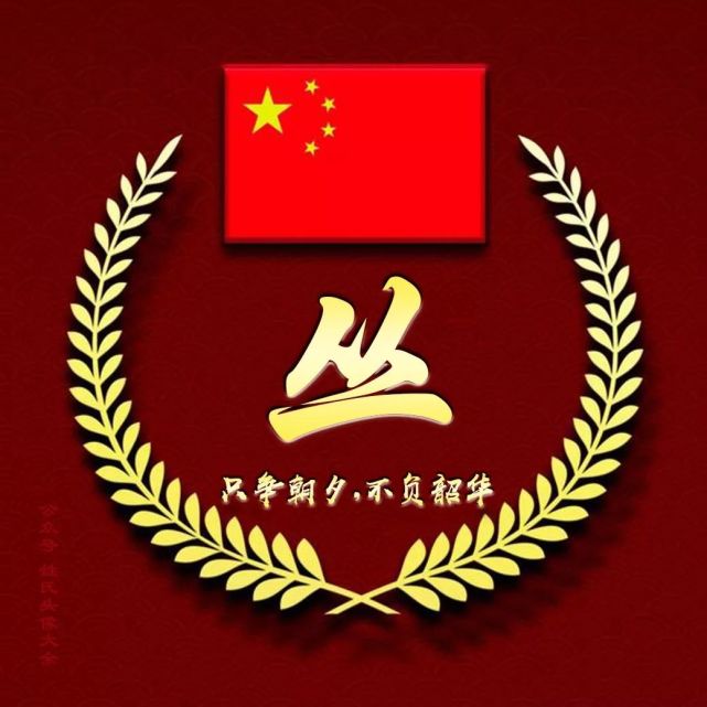 2021 "五星红旗"爱国姓氏头像丨张张精品,只争朝夕,不