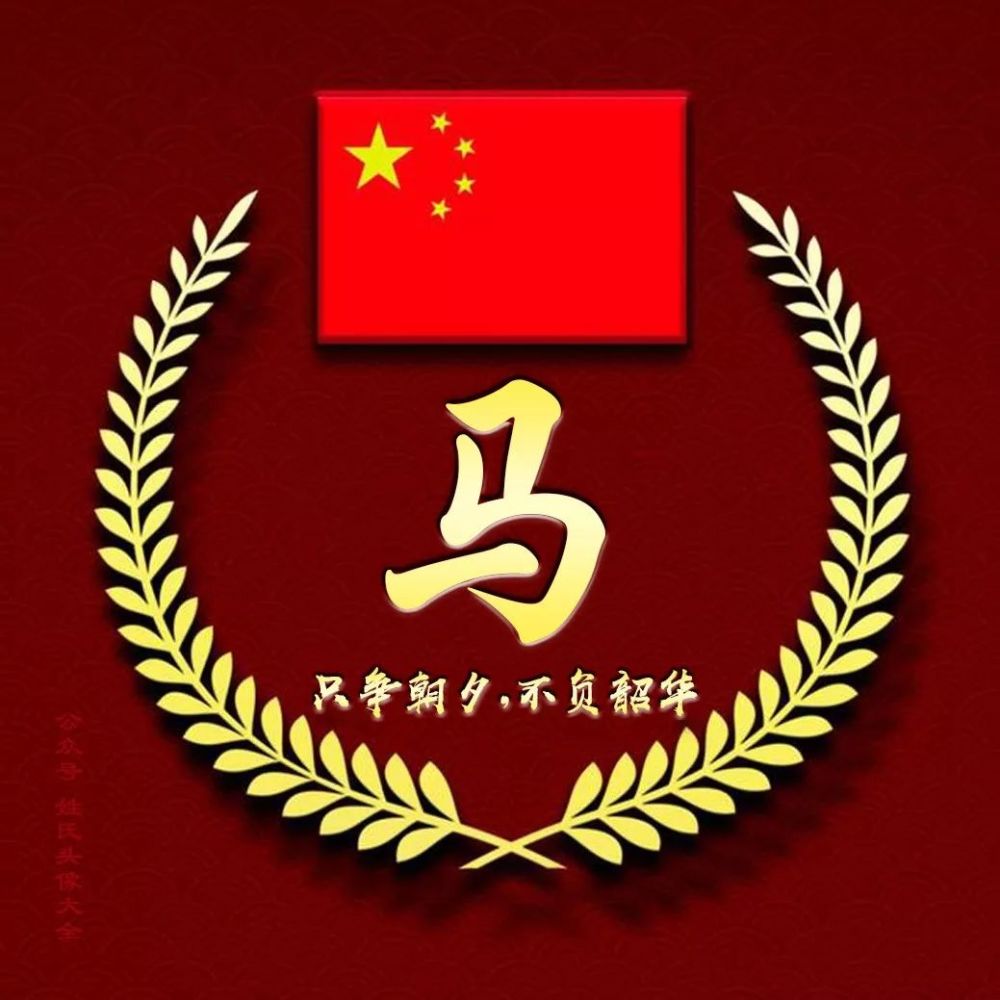 2021五星红旗爱国姓氏头像丨张张精品只争朝夕不负韶华