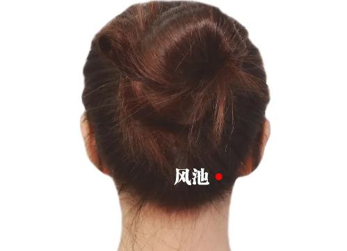 风池:让风邪没有藏身之地!