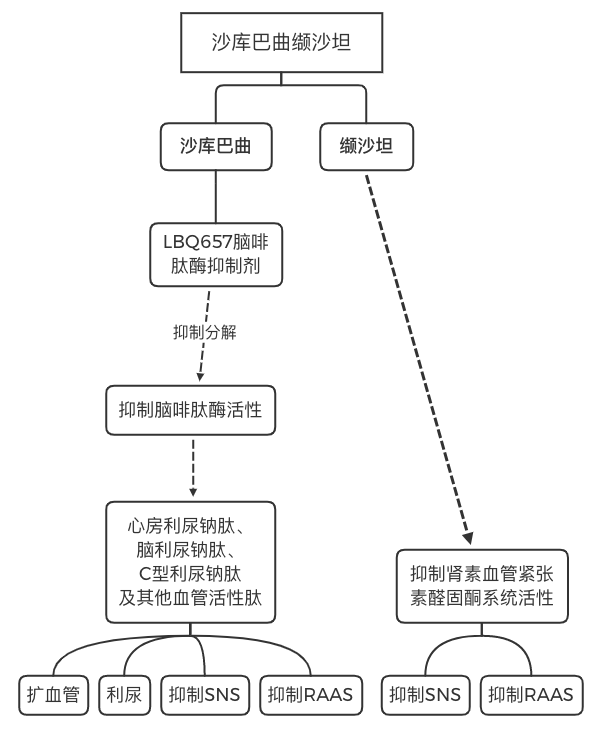 沙库巴曲缬沙坦可以同时增强利尿钠肽系统(nps)作用,抑制 raas 活性