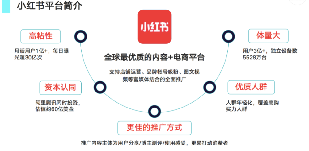 柒点哥丨小红书视频号变现1.0项目,第一期火热招募中