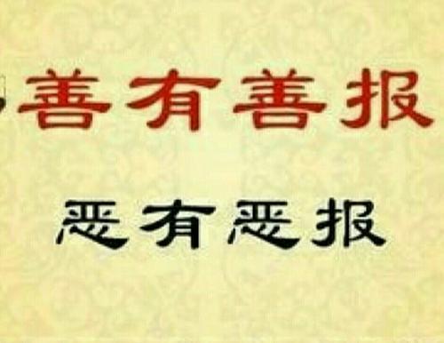 你相信善有善报,恶有恶报,不是不报时候未到这句话吗?