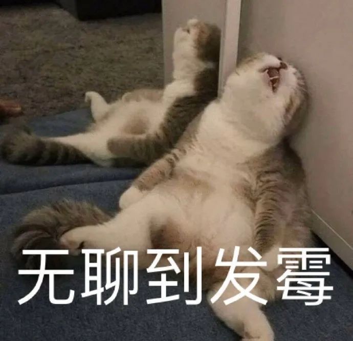 表情包:猛虎落泪