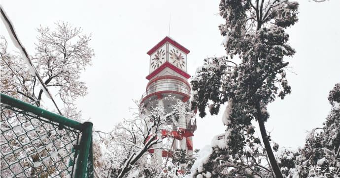 来到安徽农业大学,下完雪的大学校园显得格外妖娆,我喜欢下雪,总是想