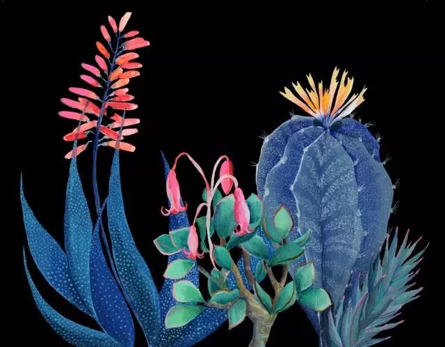 她的植物画里,总能感受到栩栩如生