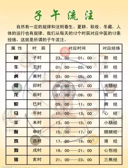 十二时辰对应脏腑图