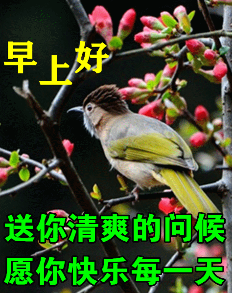中老年表情包,送你清爽的问候,感恩每一缕阳光!