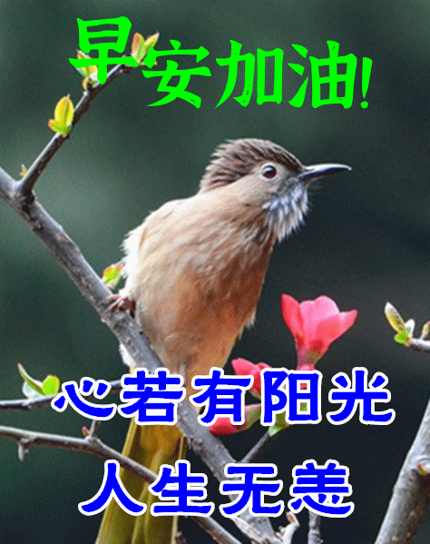 中老年表情包,送你清爽的问候,感恩每一缕阳光!