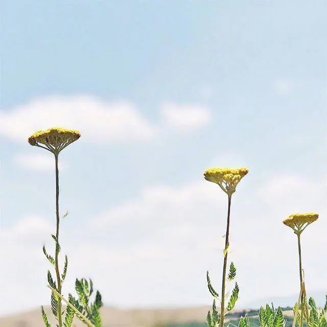 致自己随心随性的人生格言