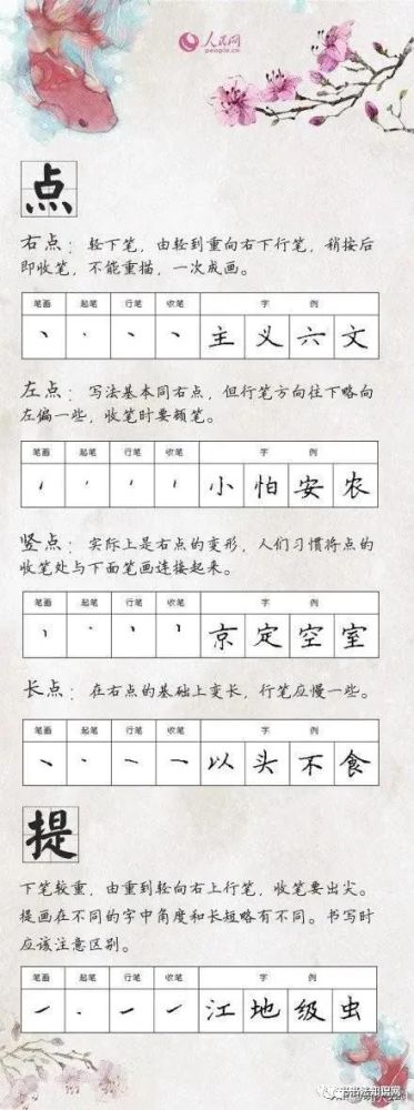 硬笔书法入门28种基本笔画的写法练字必备的基本功