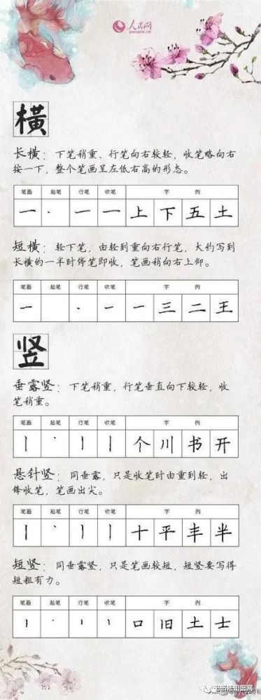 硬笔书法入门,28种基本笔画的写法,练字必备的基本功