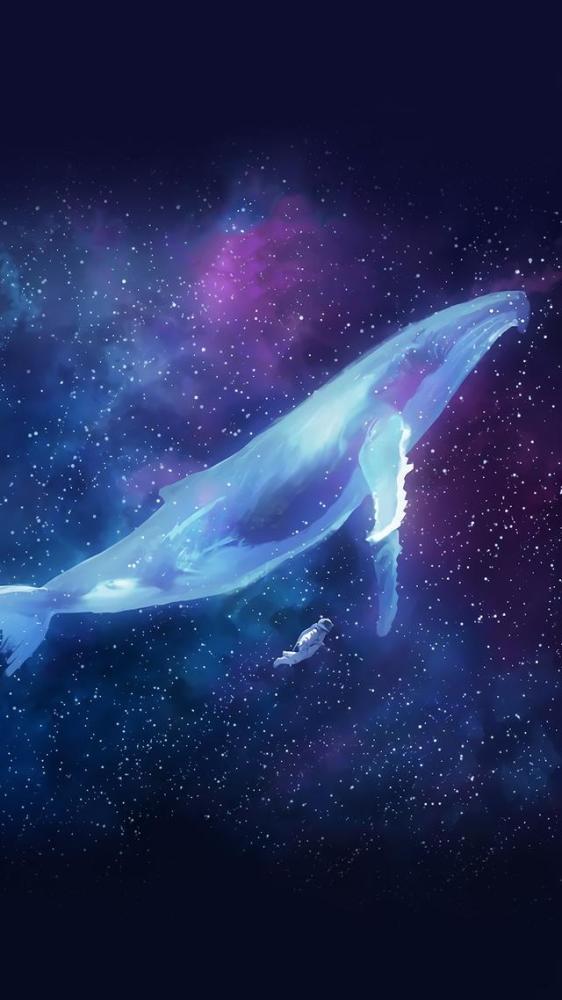 鲸鱼唯美风小清新图片壁纸和大海的文案鲸落是鲸鱼留给大海最后的温柔
