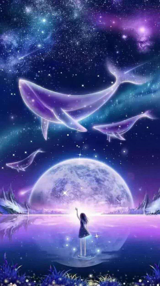 鲸鱼唯美风小清新图片壁纸和大海的文案|鲸落是鲸鱼留给大海最后的