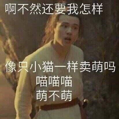 你最近存了哪些沙雕朋友圈文案?