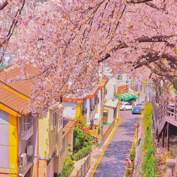 背景图|ins小众