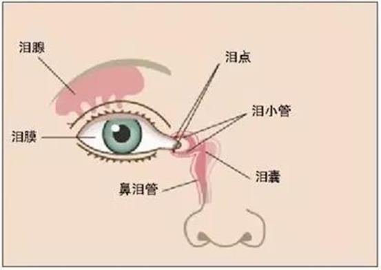 宝宝眼屎多千万别马虎!这种情况有害视力健康,要尽快就医