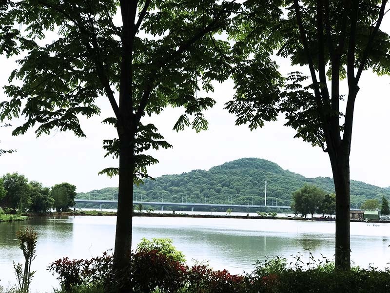 4月23日下午,武汉严西湖畔,阳光冲破薄雾照射大地,水杉,柳树,绿道瞬间