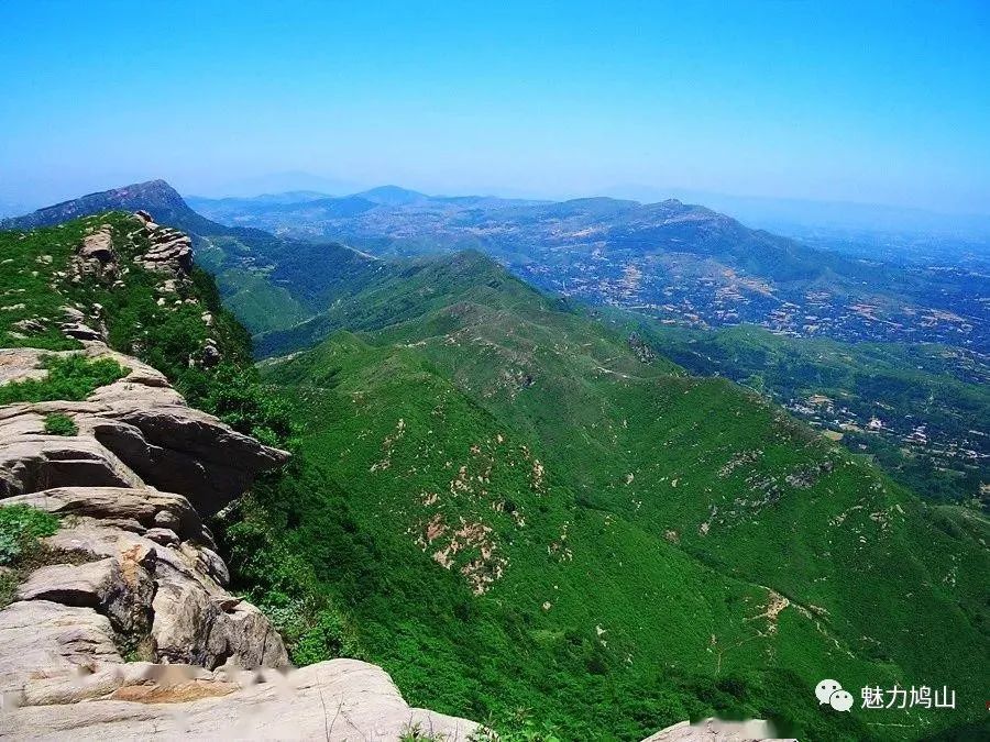 禹州鸠山镇第四届槐花采摘文化旅游节4月28日隆重开幕