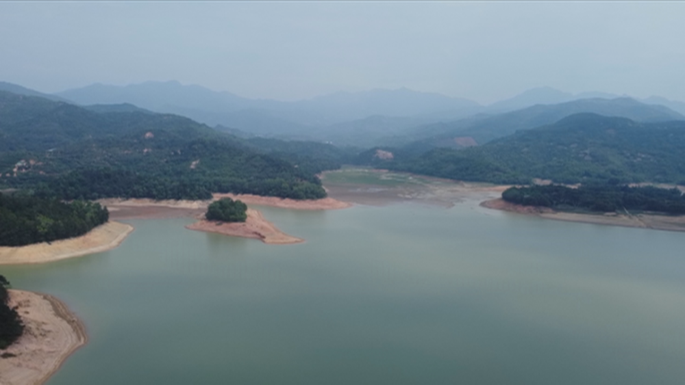 隐患!水库长满野草,竟成了网红"打卡"地