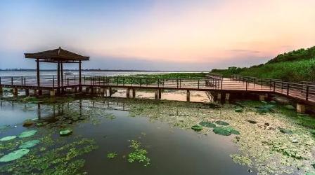 苏州阳澄湖自驾游攻略,阳澄湖旅游游玩景点