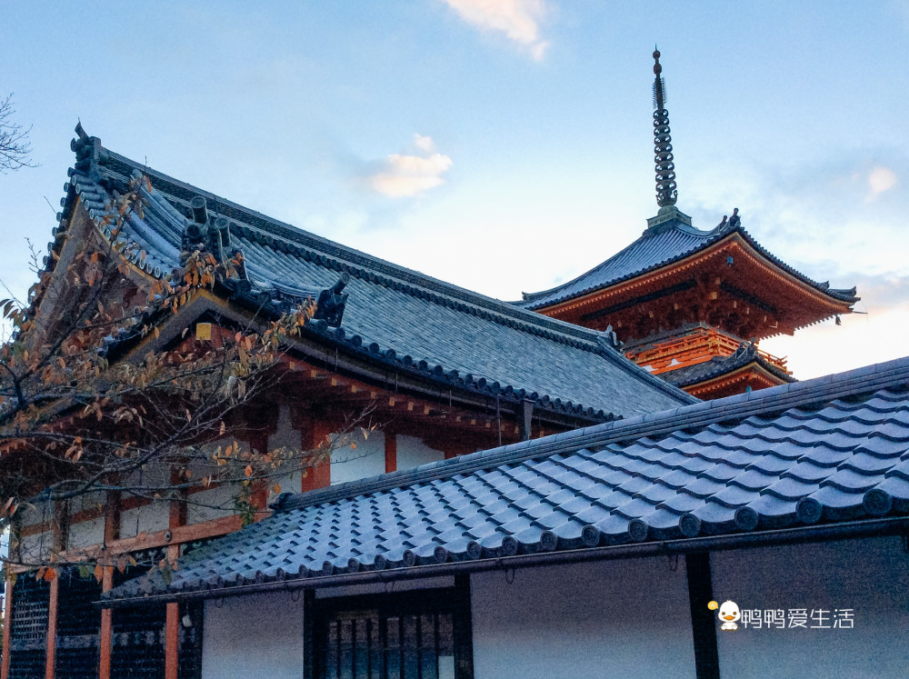 日本京都最古老寺庙,主堂仅由139根柱子支撑,春秋花开美不胜收
